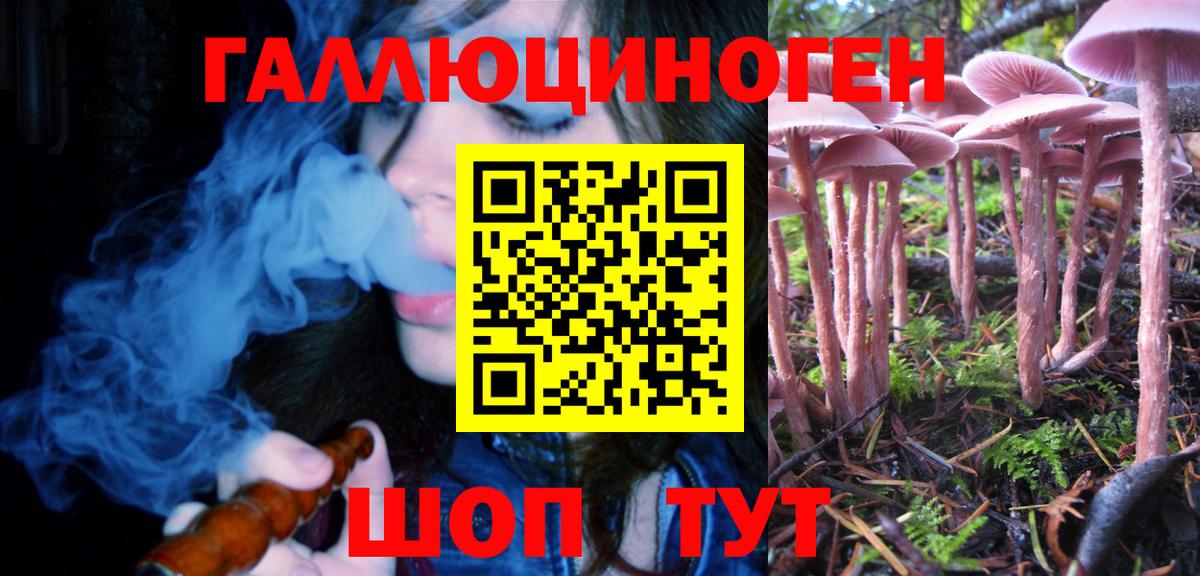 Псилоцибиновые грибы Psilocybine cubensis Электрогорск