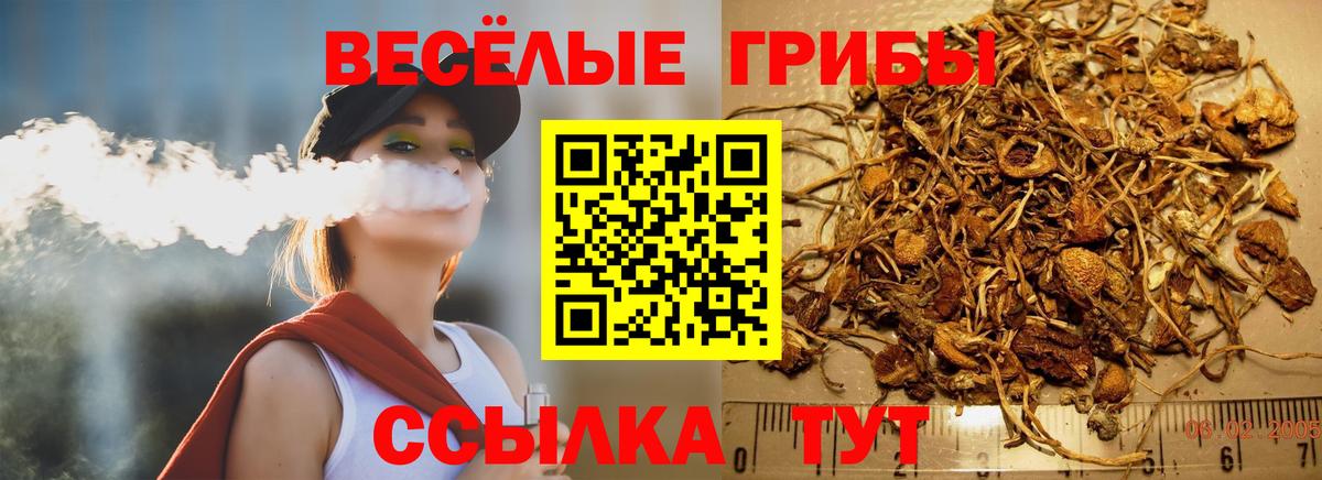 Галлюциногенные грибы MAGIC MUSHROOMS  Вход с VPN  Электрогорск 